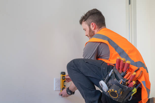 Best Electric Panel Repair  in Cullowhee, NC
